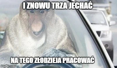 bajerka - #dziendobry #heheszki #humorobrazkowy