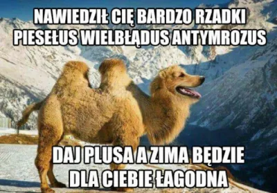 Zdejm_Kapelusz - #humorobrazkowy #smiesznypiesek