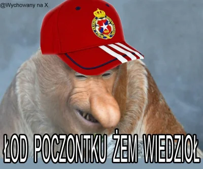 Blehndzior - #wislakrakow