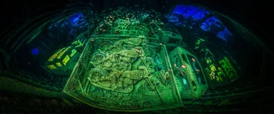 Nemezja - #fotografia #podwodnafotografia #wraki 
"Najlepszym zdjęciem tegorocznej e...