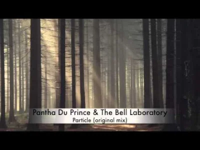 kickdagirlz - Pantha Du Prince & The Bell Laboratory - Particle



#dziendobry :}



...