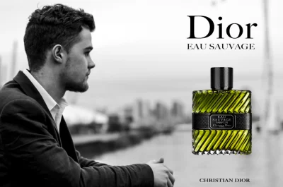 KaraczenMasta - 87/100 #100perfum #perfumy

Dior Eau Sauvage Parfum (2011, EdP)
Ja...