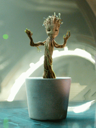 Tolen - I am groot



#film #smiesznedrzewko #guardiansofthegalaxy