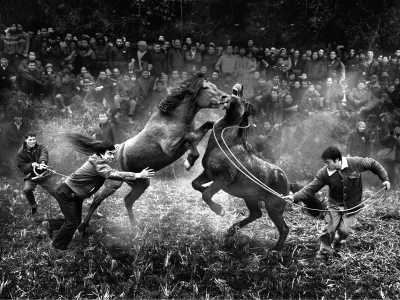 Nemezja - #zwierzeta #fotografia #tradycja #konie #walka 
Podczas obchodów chińskieg...