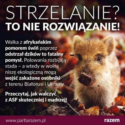 Kwapiszon - Według lewicowych ekstremistów opłacanych przez Niemców, do ciężarnych lo...