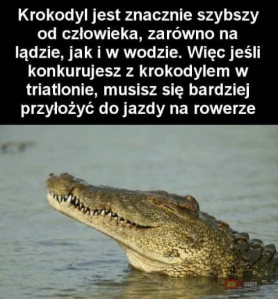 ufoludek-zkosmosu - Przydatna informacja. 
#ciekawostka #nadtag