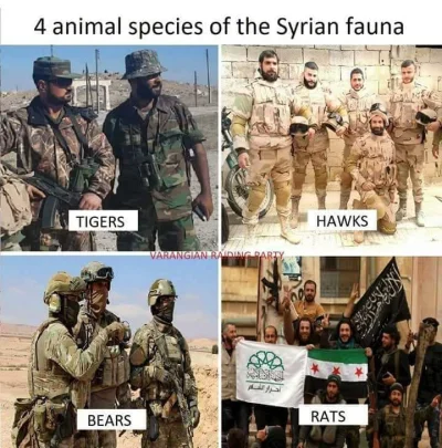 ariel-szydlowski - 4 rodzaje zwierząt (｡◕‿‿◕｡)

#bliskowschodniememy 
#syria #syri...