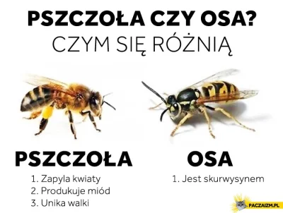 intri - Wymrą pszczoły zostanie nam 4 lata życia.. Tyle w teorii, dalej zobaczymy.

...