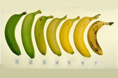 nasedo - Zielone banany to nadbanany, w nienawiści do brązowiejących bananów, tak zos...
