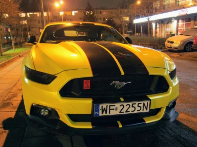 superduck - Ford Mustang GT - VI generacji (2014-2017)
5,0l V8 421 KM
0-100 km/h - 4,...