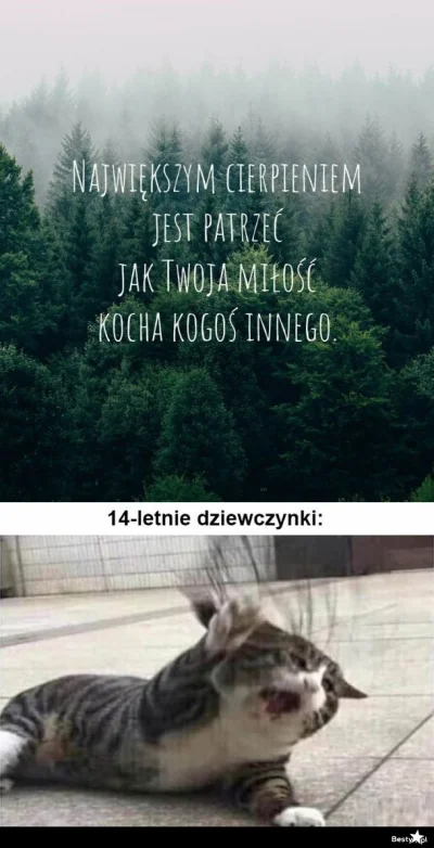 x.....x - @kaloryferynka: smiechłem :D

Już myślałem, że trzeba wstawić meme pic rel