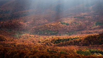 crazy_mole - Bieszczady jesienią.
#Bieszczady #fotografia