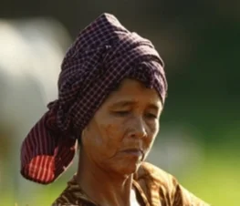 Kroomka - Kambodżańscy rolnicy po sprawdzeniu dwóch najbliższych rywali oraz przewidy...