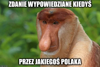 RedBulik - HAHAHAHHA XDDDD DOBRE CO NIE
#humorobrazkowy #postmemizm