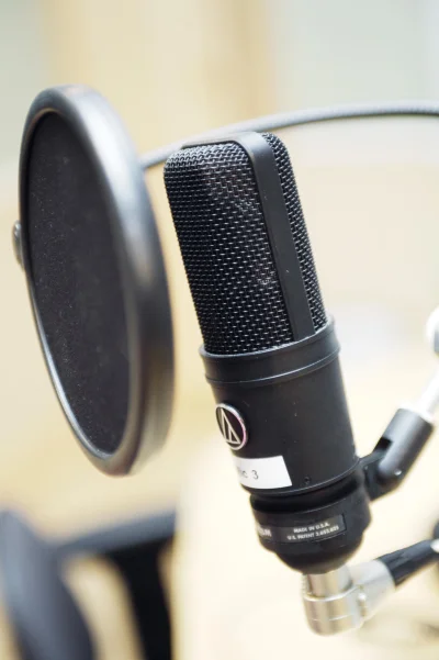 BlazkoD - Do czego służy ta siatka (filtr?) przy mikrofonach?

#kiciochpyta