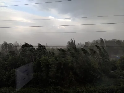 p.....a - Halo halo #warszawa, tu #wola, ale jebło, odbiór!
#burza