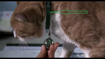MandarynWspanialy - > Orionie, laser wskazuje konkretnie na jego pas.

@giebeka: Mi...
