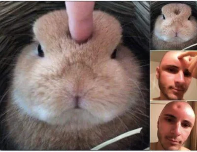 curveMiko - #heheszki #humorobrazkowy #gownowpis