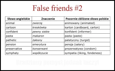 pawvic - Druga porcja "false friends", czyli dalszy ciąg słów mających podobne brzmie...