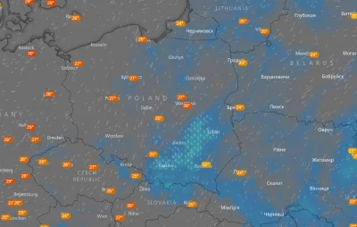 spider - Aktualny stan pogodowy w Polsce. Z uwzględnieniem temperatury, deszczów, bur...