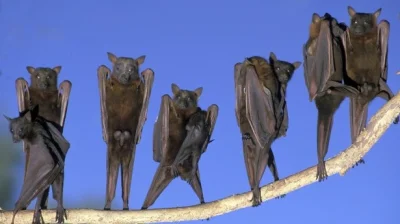 jestemgrubyijempaczki - @fan_comy: ( ͡° ͜ʖ ͡°)