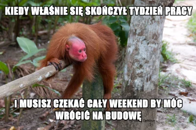 SzpasWogel - #ukrainiec #polak #heheszki #humorobrazkowy