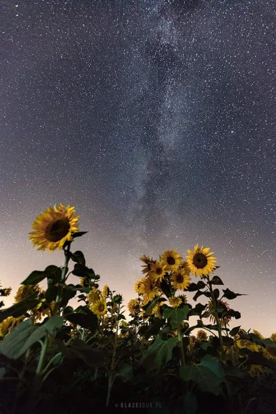 b.....s - > Zdjęcia nieba i drogi mlecznej z krajobrazem w tle tez są fotomontażem i ...