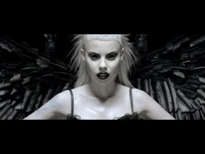 p.....u - #muzyka #dieantwoord