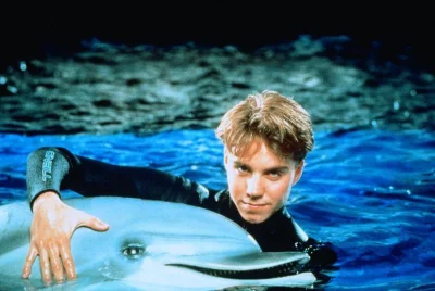 evergreenoldboy - Po kilkunastu latach po raz kolejny przypomniałem sobie delfina Dar...
