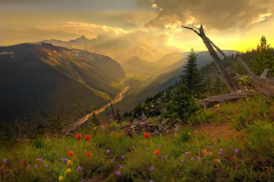 lennyface - #earthporn 


 Mount Rainier, Washington



SPOILER
SPOILER