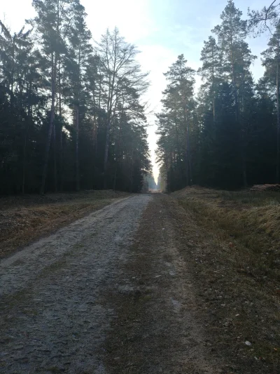 uzor - Witam z rana i dobrega dnia zycze :)