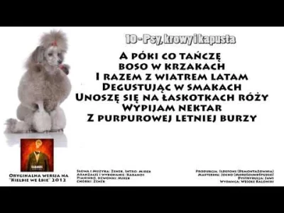 oggy1989 - [ #muzyka #polskamuzyka #rock #kabanos ] + #oggy1989playlist ヾ(⌐■_■)ノ♪ 

...