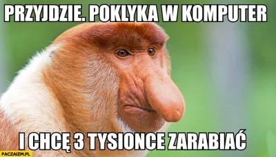 zakamuflowany_fetyszysta - > czym lżejsza praca tym większe zarobki

@Clefairy: Tak...