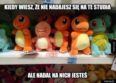 mdlejtecole - Za 10 dni zaczynam 3 rok studiów, jest ktoś kto też tak ma? (✌ ﾟ ∀ ﾟ)☞
...