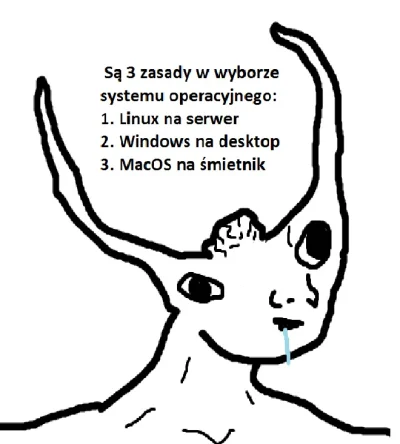 majsterV2 - #heheszki #humorobrazkowy #sysadmin #humorinformatykow #brainlet #linux #...