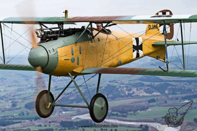 CanisLupusLupus - #aircraftboners #albatros