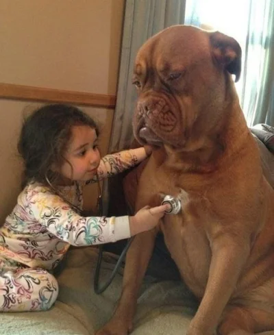 pogop - #smiesznypiesek #zwierzaczki #dzieci #medycyna #humor #smiesznyobrazek widać,...