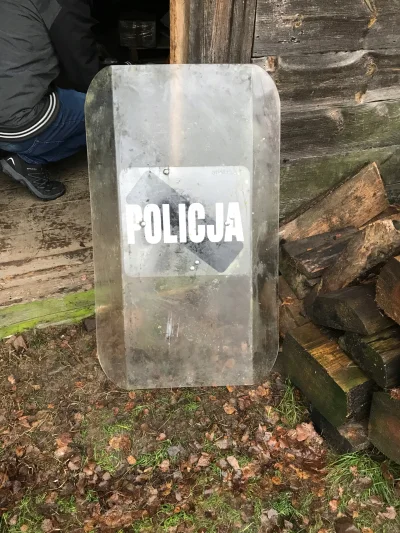 trebeter - #szukam #gif

to raczej nie był gif z polski
policjant uderza kantem ta...