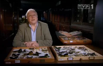 M.....k - na #tvp1 leci David Attenborough i osobliwości świata przyrody

Już końcó...