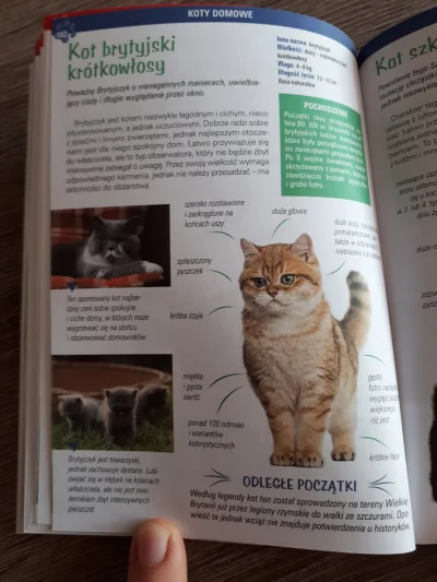 Mlonger - > @Mlonger: jest coś w tym atlasie o kocie brytyjskim? ʕ•ᴥ•ʔ
Aha:

@Sweetie...