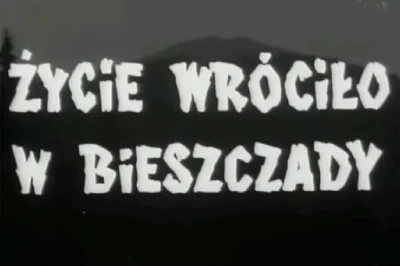 yolantarutowicz - @wypokek: 

" 16 mln. metrów sześcienny drewna tkwi w bieszczadzk...