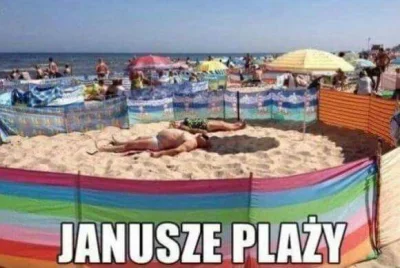Shinzin - #heheszki #humor #januszewakacji #wakacje #humorobrazkowy