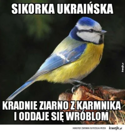 CuckuLka - @trzeci: