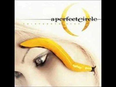 P.....e - #muzyka #aperfectcircle #maynard #tool

Safe from pain and truth and choic...