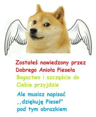 Kozzi - hehe #piesel > #doge hehe