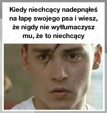 mlody18 - najgorzej (╥﹏╥) #psy #truestory