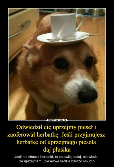 Osiedlowydiler - #heheszki #humorobrazkowy #dajplusa #pies