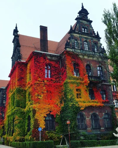 JaTuTylkoNaMoment - @kanaah: ostatnio zdjęcie tego Muzeum często krąży po sieci. Tu z...