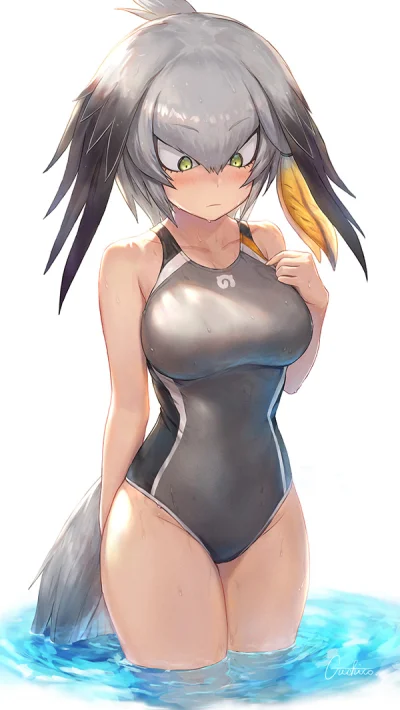 bakayarou - #randomanimeshit #kemonofriends #shoebill #swimsuit #animeart #pixiv #ani...