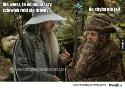 martusia9287 - #hobbit #gandalf #dopalacze
